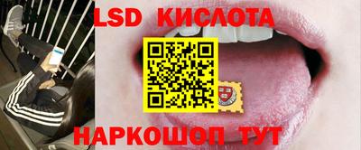 молекула духа Бийск