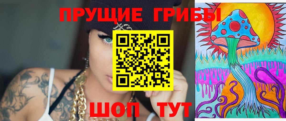 Галлюциногенные грибы Psilocybe Десногорск